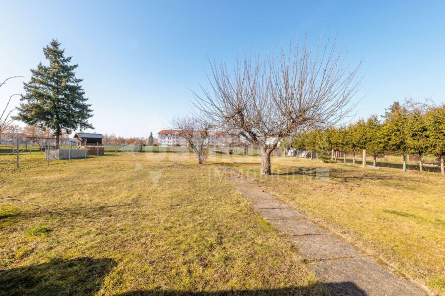 06493 Ballenstedt, Doppelhaushälfte zum Kauf | Grundstücksansicht | Ostharz Immobilien