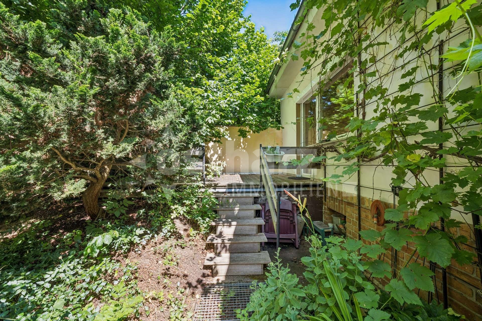 https://www.ostharz-immobilien.de/wp-content/uploads/immomakler/attachments/4e07f8ef97d54d8004d6ce36e63e65b1/5543110-GViKAzFevekNhAKmzHpgVWp8-623592-A-backbonephoto-115_WEB.jpg