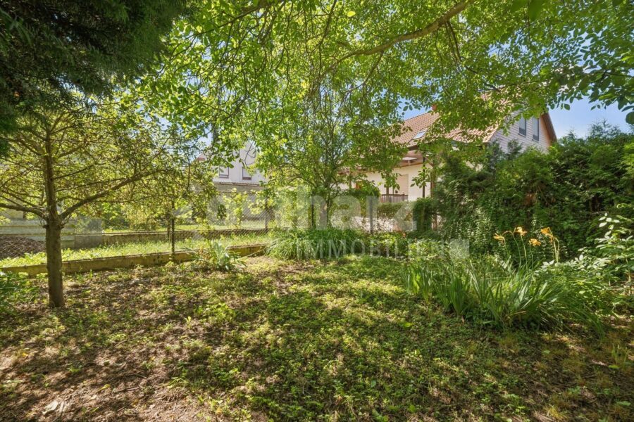 06463 Falkenstein/Harz OT Reinstedt, Einfamilienhaus zum Kauf | Garten | Ostharz Immobilien