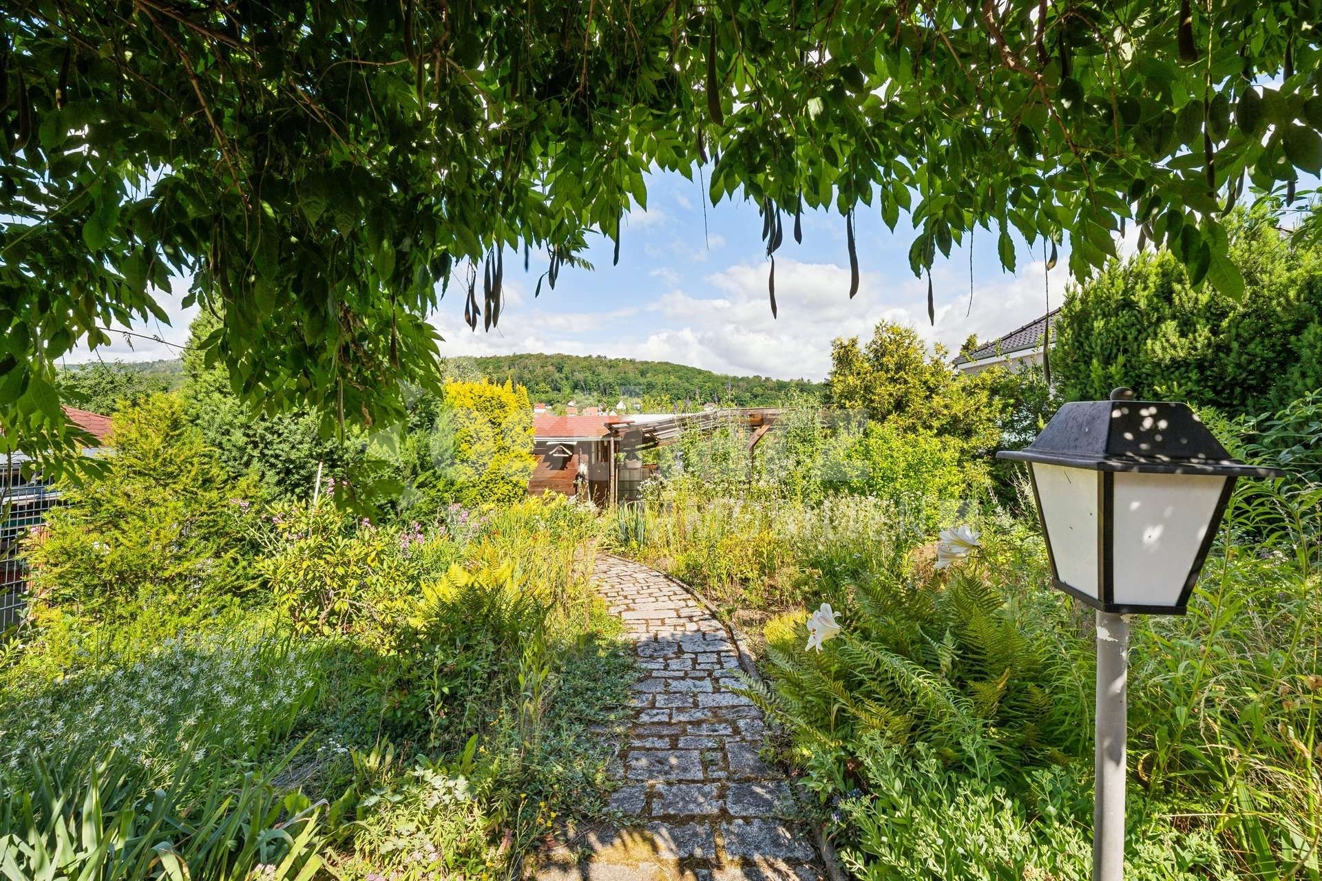 https://www.ostharz-immobilien.de/wp-content/uploads/immomakler/attachments/76f7f60f4a702d296a3f977f23a662a8/5514222-SqY24qsPtT8sS6gvXbMzsdg8-623885-A-backbonephoto-001_WEB.jpg