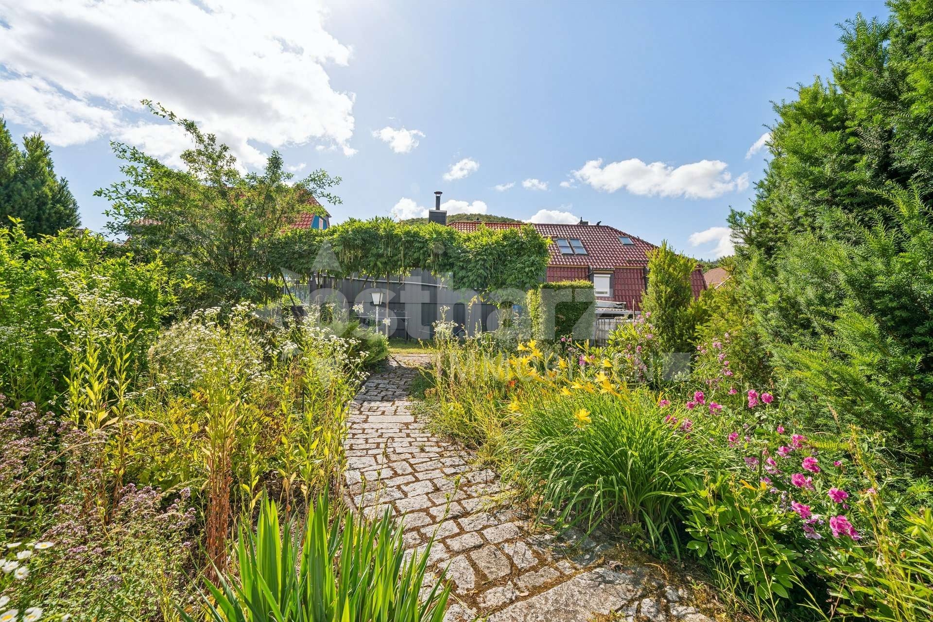 https://www.ostharz-immobilien.de/wp-content/uploads/immomakler/attachments/76f7f60f4a702d296a3f977f23a662a8/5514222-XZV6ti4ENb9PA1tpwkVzSiAr-623885-A-backbonephoto-013_WEB.jpg