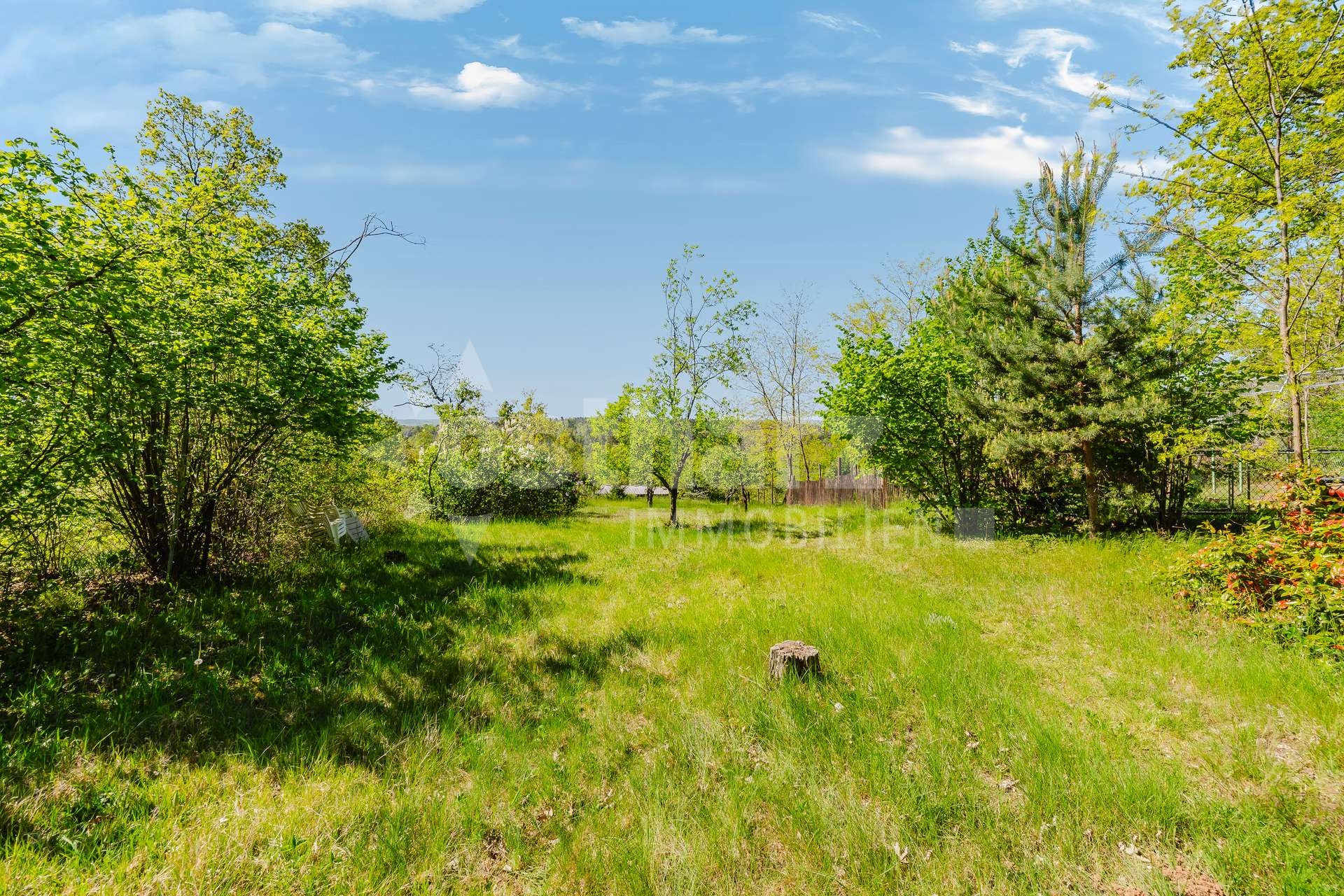 https://www.ostharz-immobilien.de/wp-content/uploads/immomakler/attachments/8b4b6f33a22e2cb3a86a9372da1df971/5389829-GuNtqZFexn8Mtu8vYMjYjEQj-Bornholzweg_Kamera-25.jpg