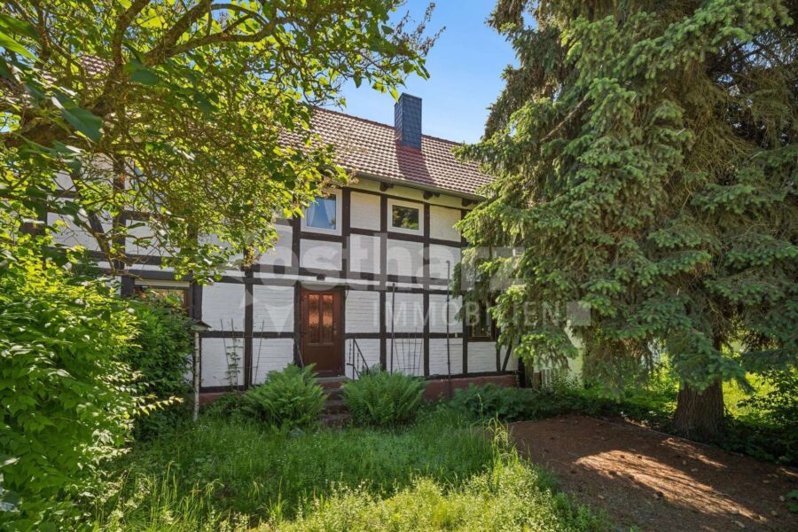 38835 Osterwieck OT Hoppenstedt, Einfamilienhaus zum Kauf | Rückseite | Ostharz Immobilien