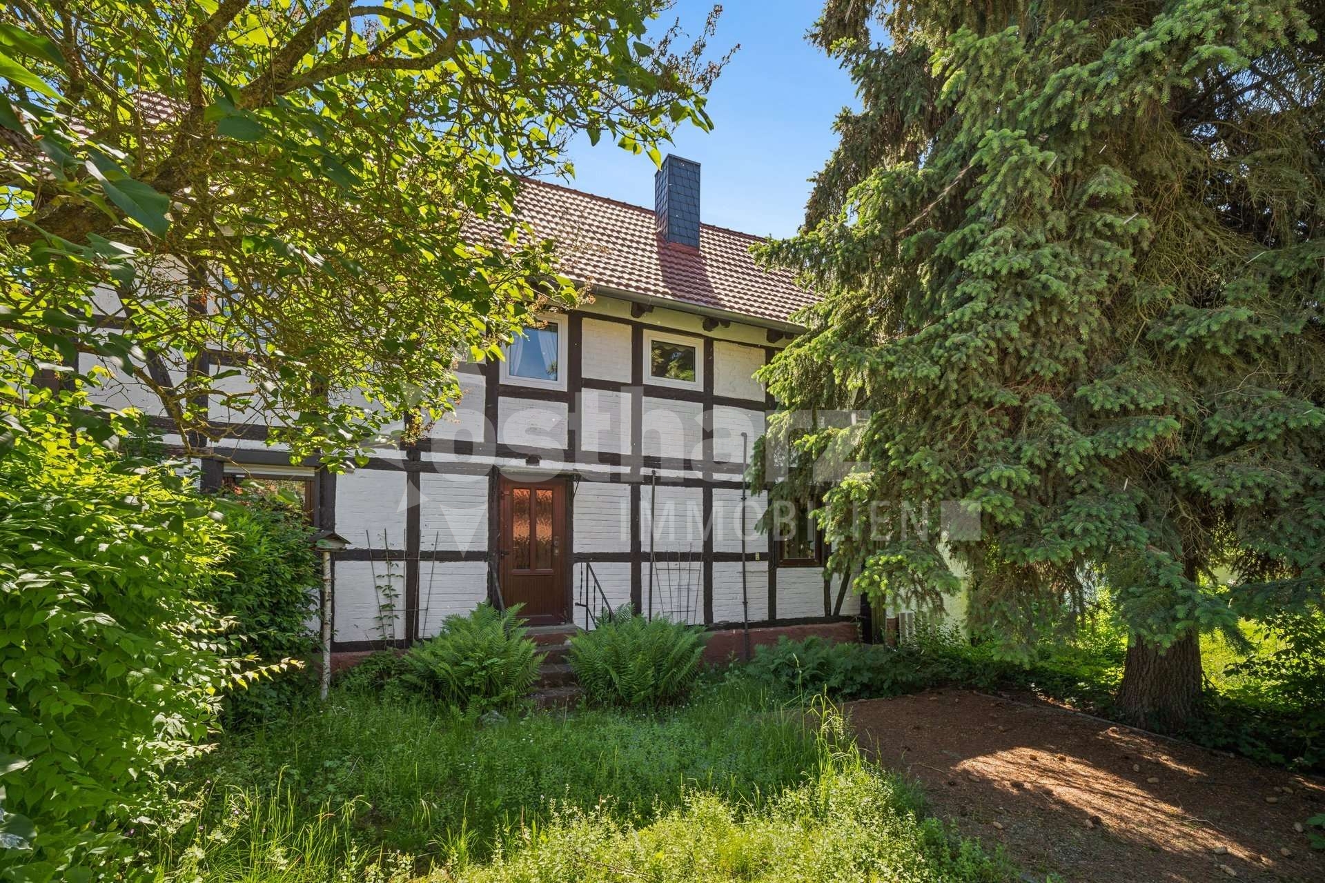 https://www.ostharz-immobilien.de/wp-content/uploads/immomakler/attachments/e49a3be4b5c6515e1831deef02b47ec9/5445733-3PafevBtfpuFVgejq5rhzQiP-618221-A-backbonephoto-097_WEB.jpg
