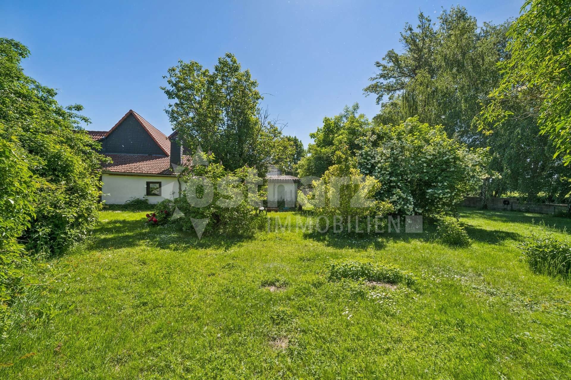 https://www.ostharz-immobilien.de/wp-content/uploads/immomakler/attachments/e49a3be4b5c6515e1831deef02b47ec9/5445733-tRqm2jcZFp4XTW49iDsrFm9b-618221-A-backbonephoto-106_WEB.jpg