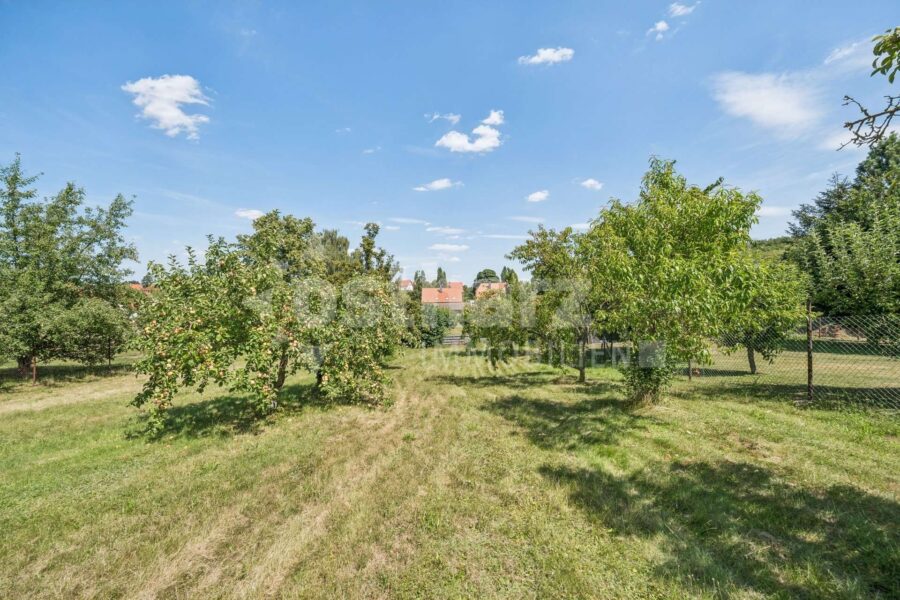 06502 Thale OT Neinstedt, Einfamilienhaus zum Kauf | Garten | Ostharz Immobilien