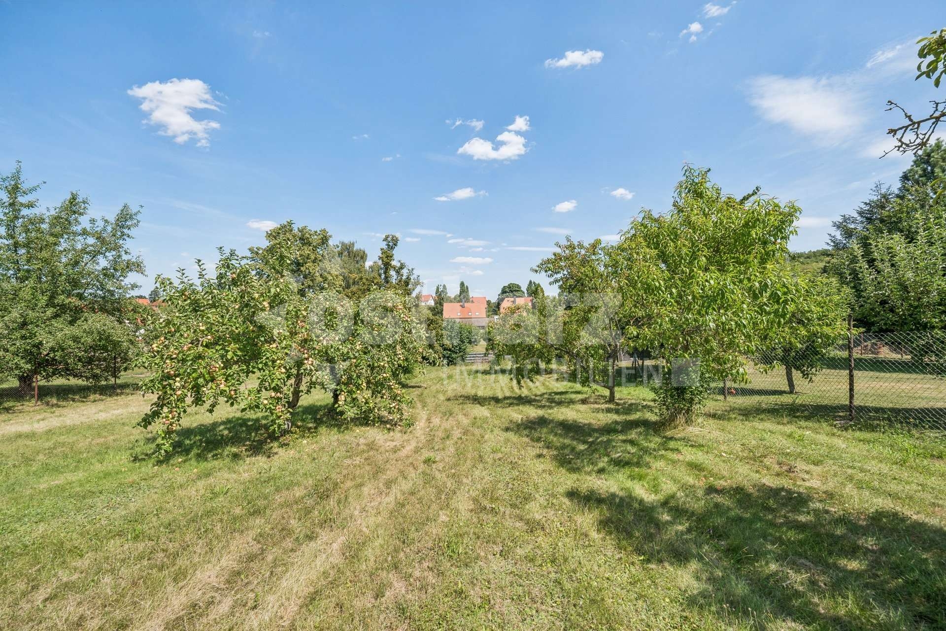 https://www.ostharz-immobilien.de/wp-content/uploads/immomakler/attachments/f64b8e6c7a25dbd17bc9bf0647ec87ed/5718140-DZPyrDSXRuZknkEQ6FfrPySu-626126-A-backbonephoto-022_WEB.jpg