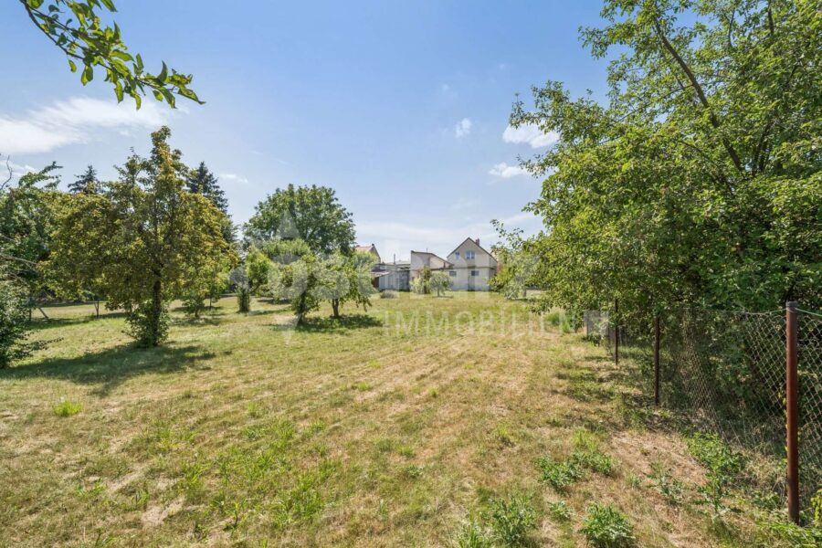 06502 Thale OT Neinstedt, Einfamilienhaus zum Kauf | Garten | Ostharz Immobilien