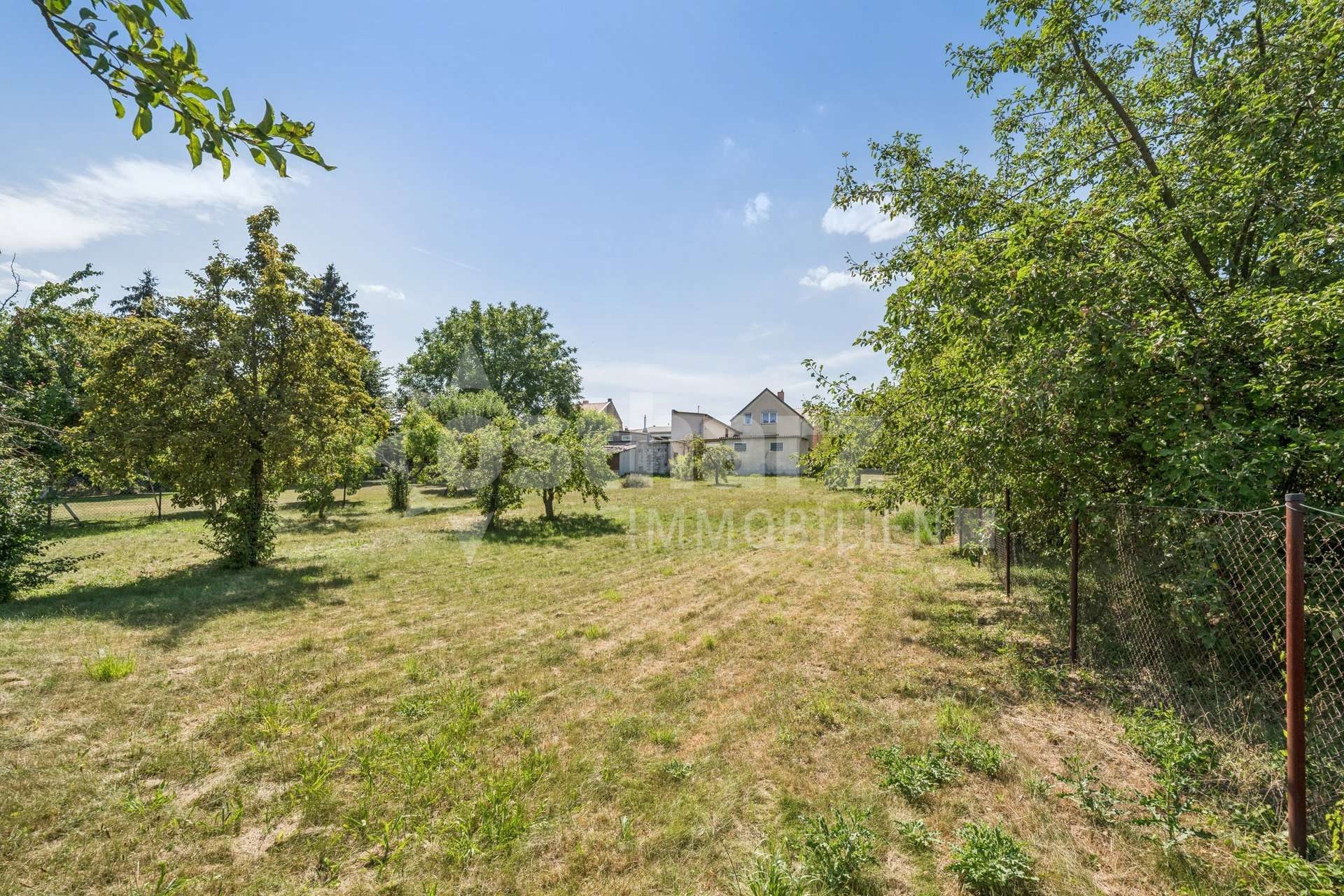 https://www.ostharz-immobilien.de/wp-content/uploads/immomakler/attachments/f64b8e6c7a25dbd17bc9bf0647ec87ed/5718140-kxFR4TPLcfCFbrmAi9n562bT-626126-A-backbonephoto-019_WEB.jpg
